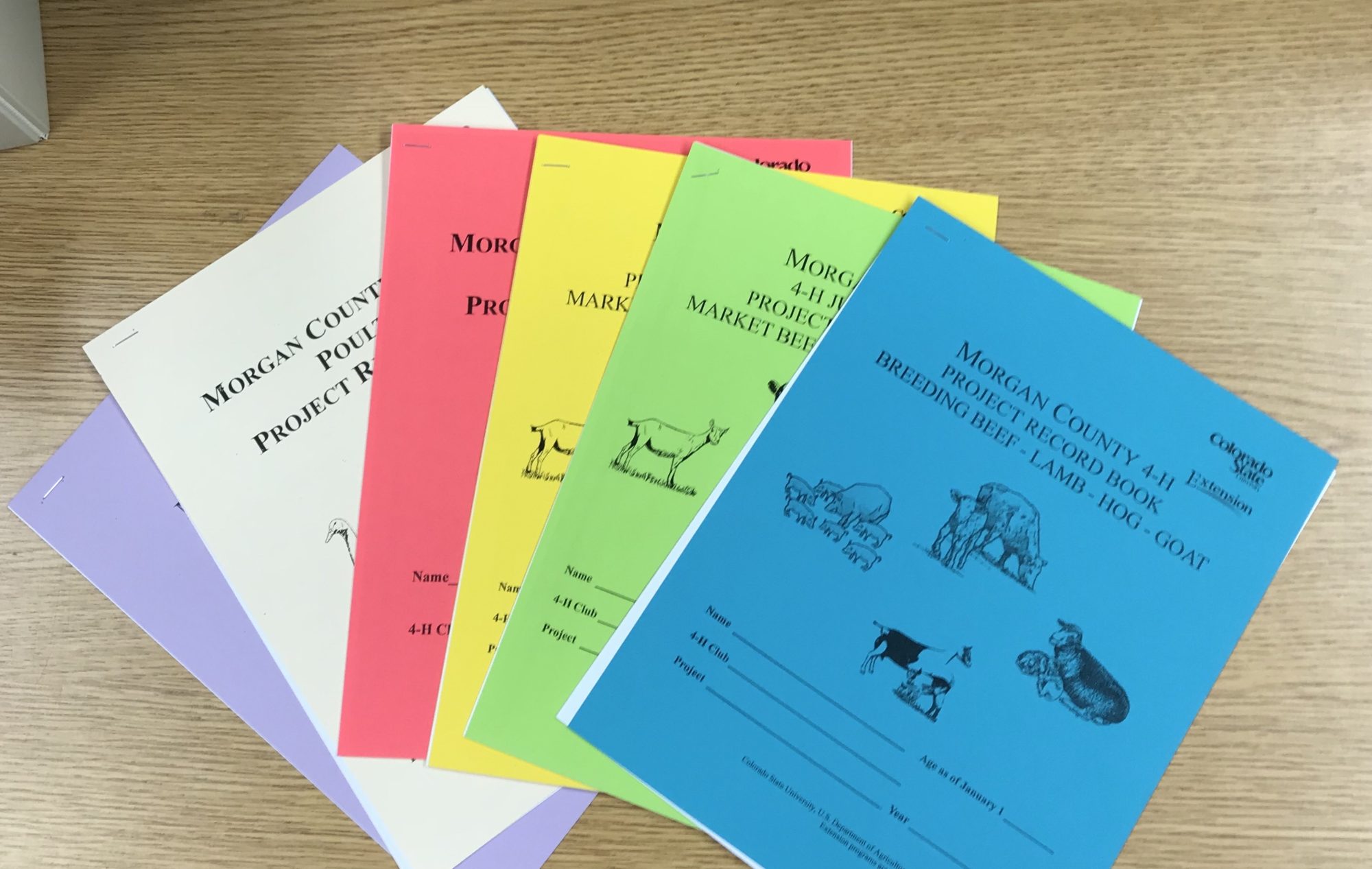 4H Resources and Records County Extension